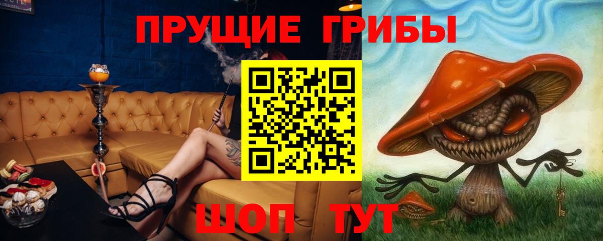 Псилоцибиновые грибы MAGIC MUSHROOMS  Вход с VPN  Самара  Псилоцибиновые грибы Cubensis 